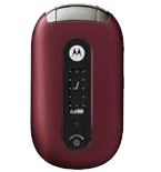 Motorola PEBL V6